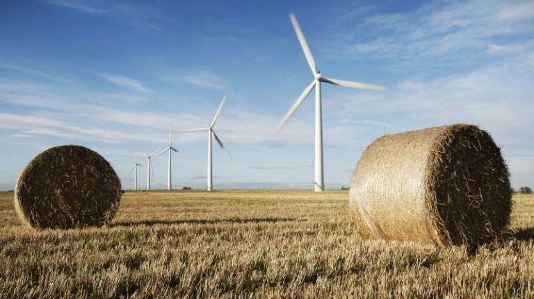 Wind farm operators investigated for ‘overstating production’